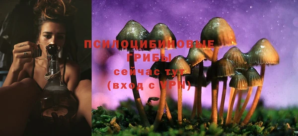 спиды Баксан